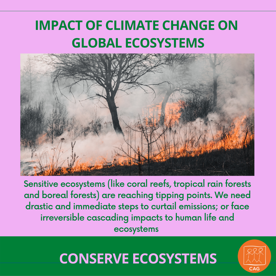 Climate Change Impact on Global Ecosystems CAG